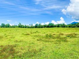  Land for sale in Tanauan City, Batangas, Tanauan City