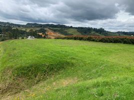  Land for sale in Envigado, Antioquia, Envigado