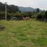  Land for sale in Zipaquira, Cundinamarca, Zipaquira