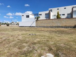  Grundstück zu verkaufen in Atlixco, Puebla, Atlixco, Puebla