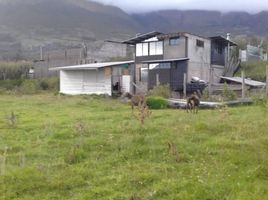 2 Schlafzimmer Haus zu verkaufen in Otavalo, Imbabura, San Pablo, Otavalo