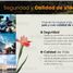  Land for sale in Progreso, Yucatan, Progreso
