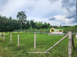  Terreno (Parcela) en venta en Tulua, Valle Del Cauca, Tulua