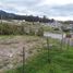  Land for sale in Ruminahui, Pichincha, Sangolqui, Ruminahui