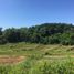  Land for sale in Anda, Ilocos, Anda