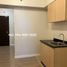 1 Schlafzimmer Wohnung zu verkaufen in Mandaluyong City, Metro Manila, Mandaluyong City