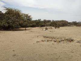  Terreno (Parcela) en venta en Catacaos, Piura, Catacaos, Piura, Piura
