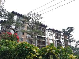 1 Bedroom Condo for sale in Cordillera, Baguio City, Benguet, Cordillera