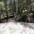  Land for sale in Mineral Del Chico, Hidalgo, Mineral Del Chico
