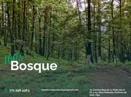 Land for sale in Mineral Del Chico, Hidalgo, Mineral Del Chico