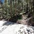  Land for sale in Mineral Del Chico, Hidalgo, Mineral Del Chico