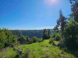  Terreno (Parcela) en venta en Navidad, Cardenal Caro, Navidad