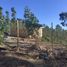  Terreno (Parcela) en venta en Navidad, Cardenal Caro, Navidad