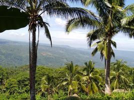  Grundstück zu verkaufen in Misamis Oriental, Northern Mindanao, Balingasag