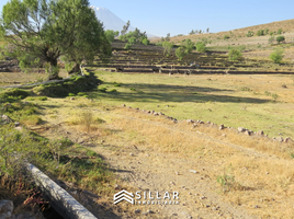 在Sabandia, Arequipa出售的 土地, Sabandia