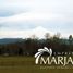 4 Habitación Villa en venta en Villarrica, Cautín, Villarrica