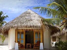  Grundstück zu verkaufen in Cozumel, Quintana Roo, Cozumel