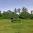  Terrain for sale in Negros Oriental, Negros Island Region, Dauin, Negros Oriental