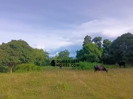  Grundstück zu verkaufen in Negros Oriental, Negros Island Region, Dauin