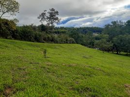  Terreno (Parcela) en venta en Dagua, Valle Del Cauca, Dagua