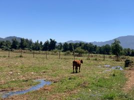  Terreno (Parcela) en venta en Chile, San Clemente, Talca, Maule, Chile