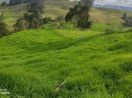  Villa en venta en Yarumal, Antioquia, Yarumal