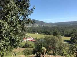  Grundstück zu verkaufen in Pachuca De Soto, Hidalgo, Pachuca De Soto