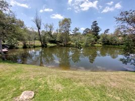 5 chambre Maison for sale in Villa De Leyva, Boyaca, Villa De Leyva