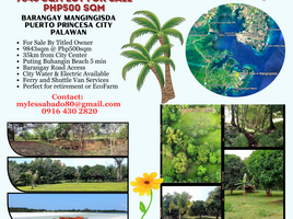  Land for sale in Mimaropa, Puerto Princesa City, Palawan, Mimaropa