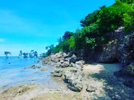  Land for sale in Dumanjug, Cebu, Dumanjug