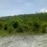  Grundstück zu verkaufen in Sibonga, Central Visayas, Sibonga