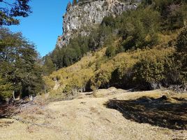 Grundstück zu verkaufen in Aisen, Aisen Del General Carlos Ibanez Del Campo, Aisen, Aisen, Aisen Del General Carlos Ibanez Del Campo