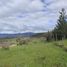  Terreno (Parcela) en venta en Hualane, Curicó, Hualane