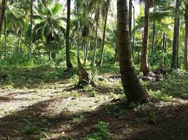  Land for sale in Surigao del Norte, Caraga, Burgos, Surigao del Norte