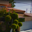 4 Habitación Villa en venta en Mexicali, Baja California, Mexicali