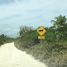 Terrain à vendre à Othon P Blanco, Quintana Roo, Othon P Blanco