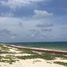 Terrain à vendre à Othon P Blanco, Quintana Roo, Othon P Blanco