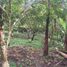 5 Bedroom Villa for sale in Icononzo, Tolima, Icononzo
