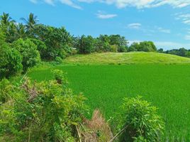  Terrain for sale in Bansud, Oriental Mindoro, Bansud