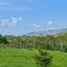  Land for sale in Pereira, Risaralda, Pereira