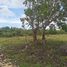  Land for sale in Bohol, Central Visayas, Panglao, Bohol