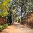 Terrain à vendre à Valle De Bravo, Mexico, Valle De Bravo