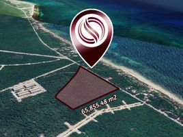  Grundstück zu verkaufen in Cozumel, Quintana Roo, Cozumel