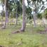  Land for sale in El Nido, Palawan, El Nido