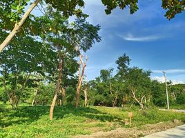 Terrain à vendre à San Juan, Calabarzon, San Juan, Batangas, Calabarzon