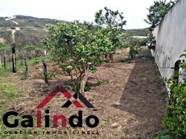  토지을(를) Xalapa, 베라 크루즈에서 판매합니다., Xalapa