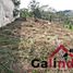  토지을(를) Xalapa, 베라 크루즈에서 판매합니다., Xalapa