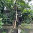 Terreno (Parcela) en venta en Quezon City, Metro Manila, Quezon City, Eastern District, Metro Manila