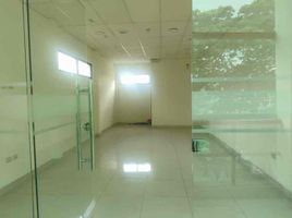 50 m² Office for rent in Guayas, Guayaquil, Guayaquil, Guayas