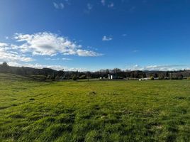  Terreno (Parcela) en venta en Temuco, Cautín, Temuco